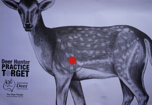 Load image into Gallery viewer, Deer Hunter Practice Target
