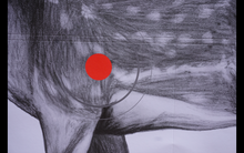 Load image into Gallery viewer, Deer Hunter Practice Target